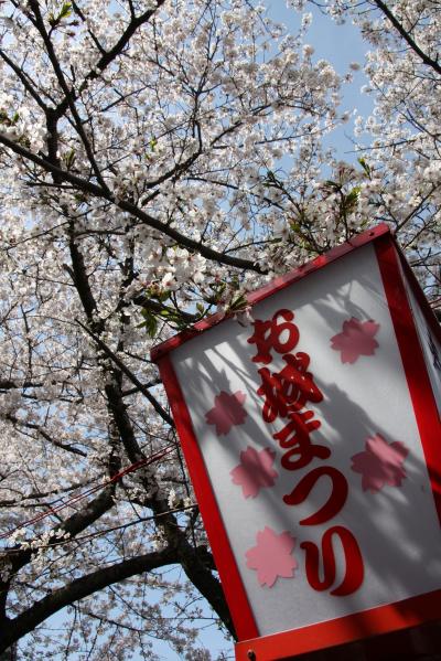 2010/04　大和郡山～桜