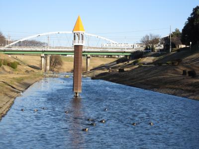 寒風の中　利根運河　を散策 ２　　江戸川合流点から帰路へ