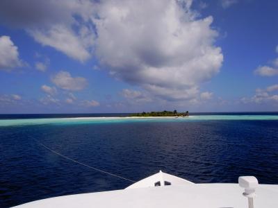 2011 JAN　モルディブ　ジンベイに逢いたくて～　Ｐａｒｔ２