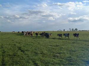 オーストラリア・メルボルン近郊でファームステイ(高校留学)