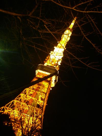 東京夜景 東京タワー