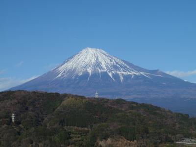 思いつきの静岡食べ歩き2011