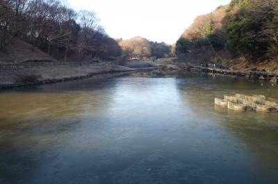 横浜　県立四季の森公園⑤（冬）