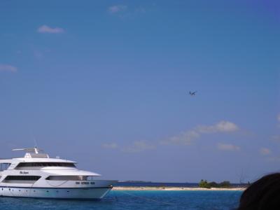 2011 JAN モルディブ　ジンベイに逢いたくて～　Ｐａｒｔ３