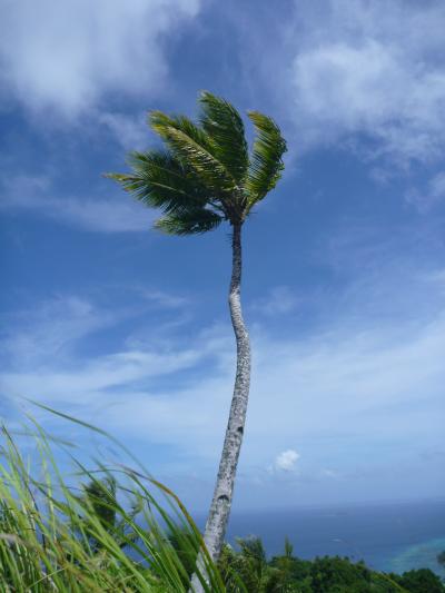 ～Spiritual Island～.ジープ島から夏島探検へVol2.（6日目）