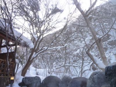 秘境の雪景色　湯西川温泉　Ｖｏｌ２（第１日目　午後）　伴久ホテルの絶景お部屋と露天風呂♪