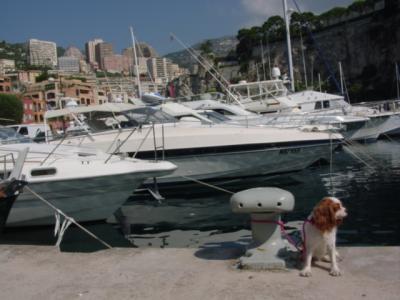 モンテカルロへドライブ