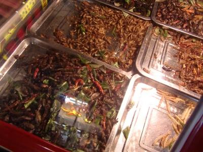 マレーシア自転車旅、おまけ付その1-ハートヤイで虫を食べる
