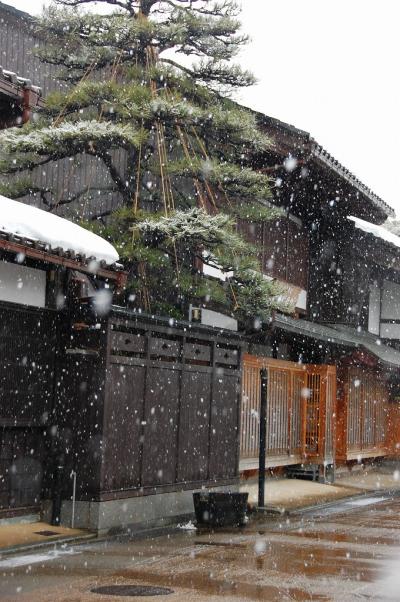 富山市内をぶらりぶらりと観光（総曲輪通り商店街・薬問屋・岩瀬）