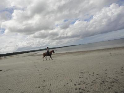 セブで乗馬