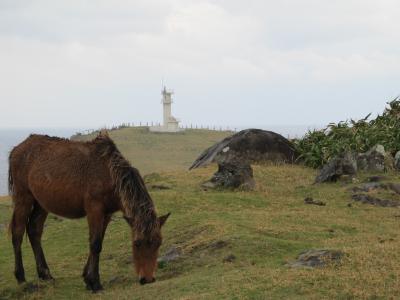 1月15日～17日　八重山(4)　与那国島