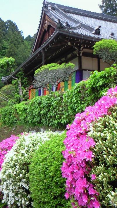 The 船宿寺～花供養～