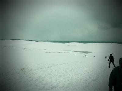 雪の鳥取砂丘と松葉蟹