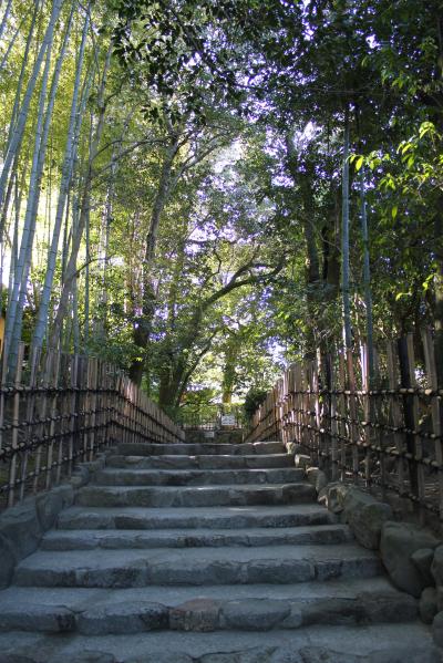 【京都建築散歩2011】詩仙堂、円光寺、曼殊院門跡