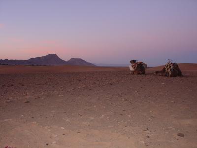 卒業旅行の思い出・・・⑥サハラ砂漠からの帰り道編