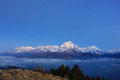 2011年2月【ネパール・ポカラでトレッキング】