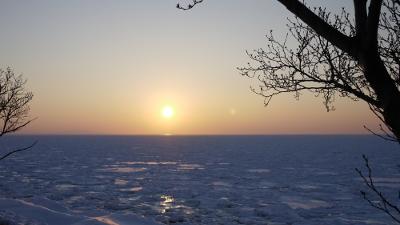 2011年2月　冬の北海道その２～知床流氷紀行