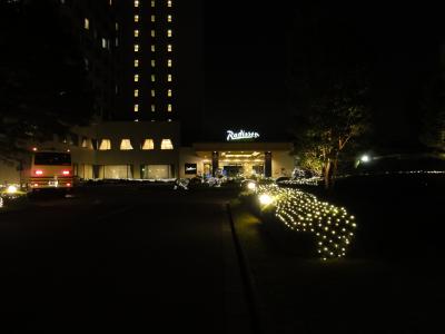 2010-07　１ドイツ旅行　前泊ラディソンホテル成田