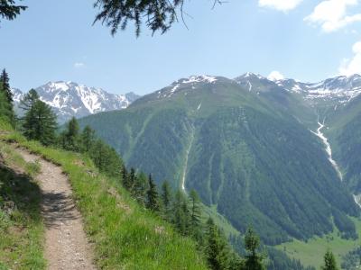 72 ゴムス谷斜面 Gommer Ridge Path