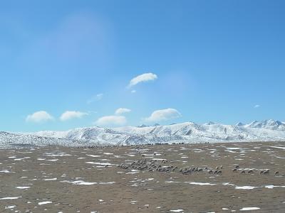 チベットを訪ねて～青蔵鉄道に乗る6日間の旅～④完結編
