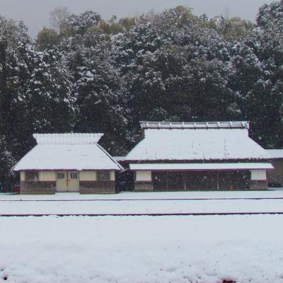 伊勢神宮神田に降る雪。