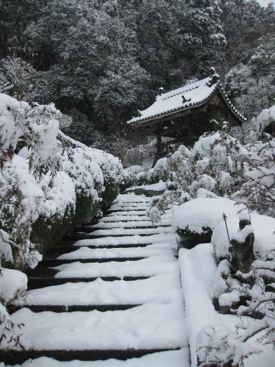 The 船宿寺～雪景色～