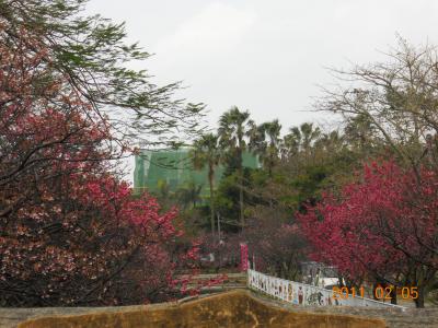 沖縄ぶらり旅　６日間…　その３