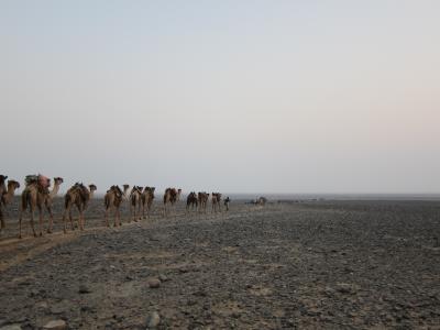 まさかの2度目のエチオピア～世界一過酷と言われる砂漠へ