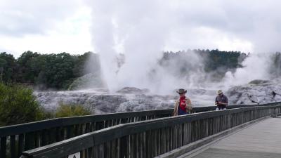 ニュージーランド・オーストラリア　クルーズの旅１７日間　ＮＯ−３