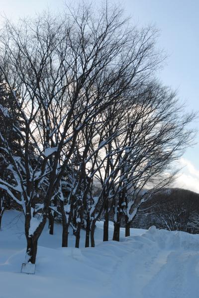 東北1人旅「雪旅」岩手編