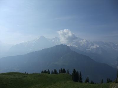 スイス旅行⑥（シーニゲプラッテ高山植物園・ロートホルン観光SL乗車）
