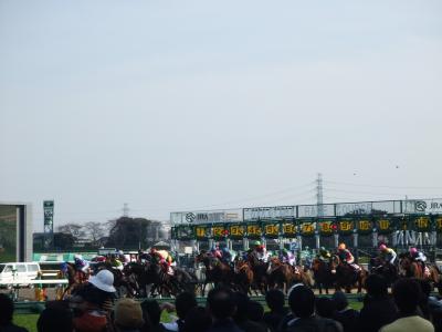 阪神vsレッドソックス オープン戦観戦と東京観光③ ～中山競馬場