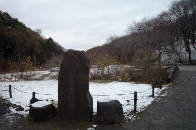 横浜　県立四季の森公園⑥（雪景色）