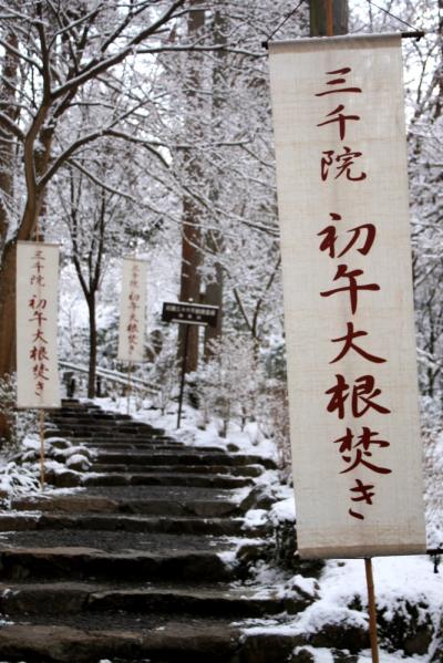 2011年冬の京都【前編】～雪の大原三千院はきれいだったにゃ