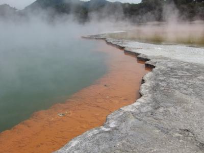 ■16：NZ レンタカー自由旅行：1月28日 Wai-O-Tapu（必見）