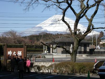 時之栖（スミカ）の楽しみ方
