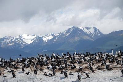 駆け足パタゴニア③