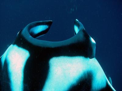 ★初めてのミャンマー・クルーズ★手つかずの海に感動