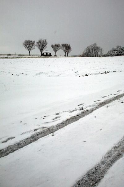 山里歩き☆まるで雪国・・今年はじめての雪の日 愛知池・愛知牧場