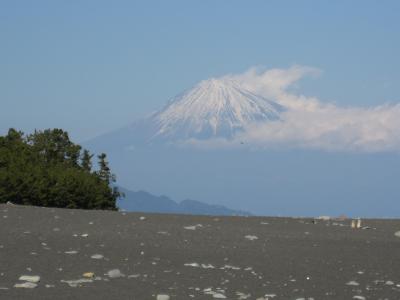 観山寺温泉・丸子宿・美保の松原　バスの旅　８　　　美保の松原から帰路へ