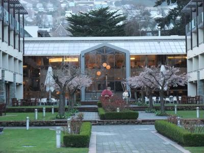 ニュージーランド周遊６