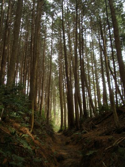 メタボ予防はじめました。　『第２０回　ノンビリ歩き♪　山の辺の道＆龍王山』