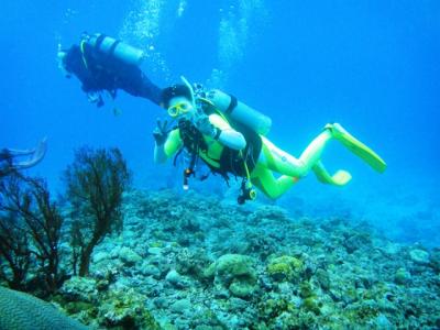 2回目の慶良間ダイビング