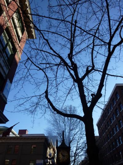 2011 シアトル&バンクーバーの旅★5日目★