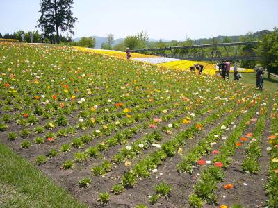 鳥取花回廊