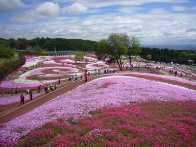 みさと芝桜公園・草津白根山