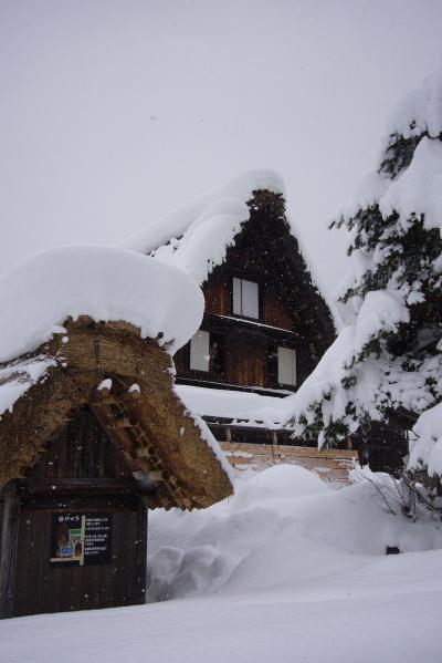 白川郷　飛騨高山