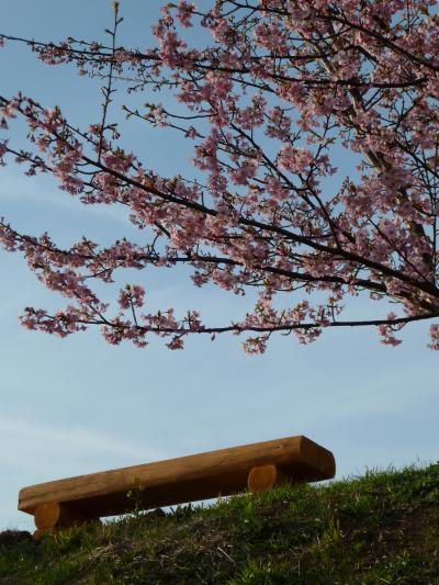 「　2011　河津桜まつり　お花見　」【１】　”稲取　雛のつるし飾り～みなみの桜並木”