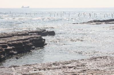 まだ春は来ないか「知多半島」ー前篇