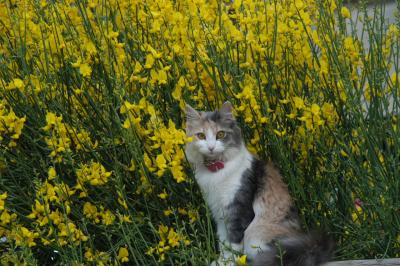 地球の詩　行こうっ！パタゴニアへ　①【カラファテ】